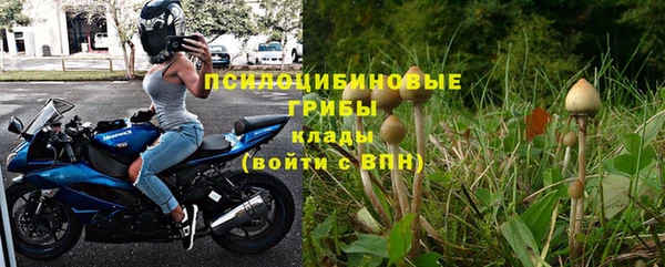 a pvp Дмитров