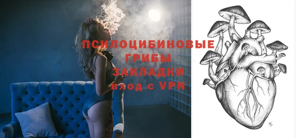 a pvp Дмитров