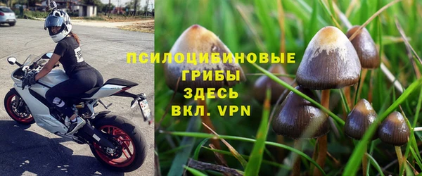 меф VHQ Дмитриев