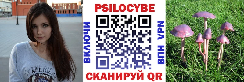Купить  Кондрово  Псилоцибиновые грибы прущие грибы 